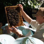 Dzieci w strojach pszczelarskich w pasiece, pszczelarz w dłoni trzyma pszczoły na plastrze miodu
